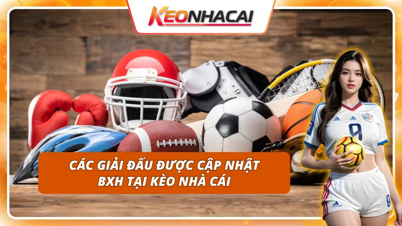 Bảng Xếp Hạng - Theo Dõi Xu Hướng Đội Bóng Trước Khi Vào Kèo 1 Bảng xếp hạng cập nhật đầy đủ từ những giải đấu hấp dẫn nhất