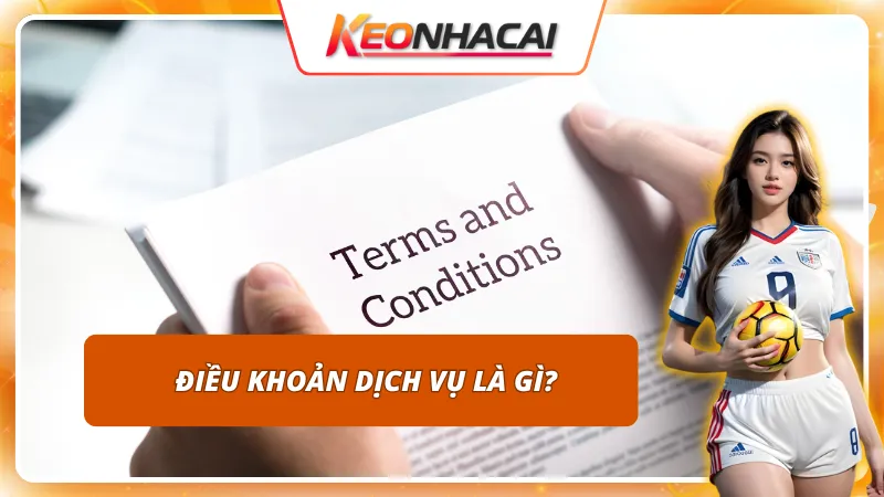 Điều Khoản Dịch Vụ 1 Khái niệm điều khoản dịch vụ - nền tảng của cá cược minh bạch
