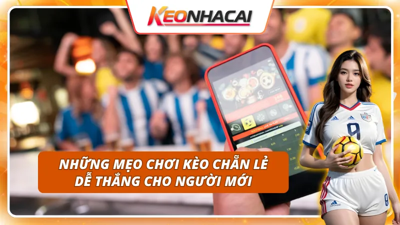 3 mẹo chơi Kèo Chẵn Lẻ hiệu quả cho người mới bắt đầu