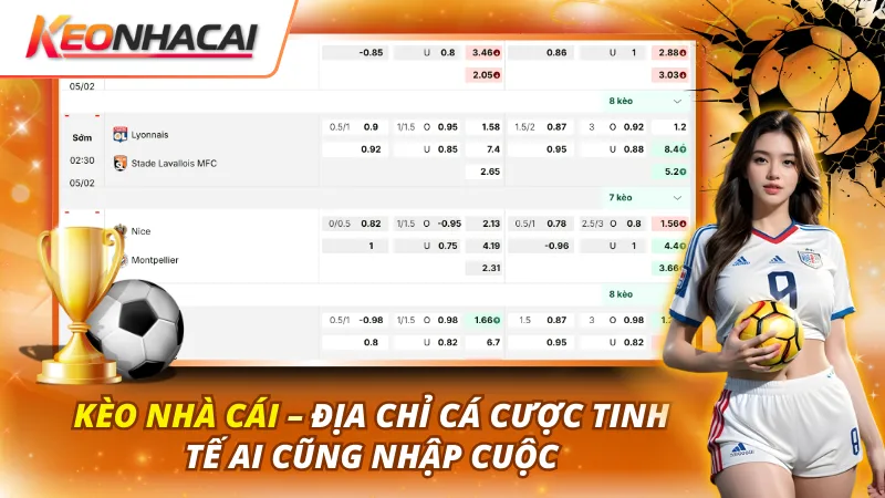Về Chúng Tôi 1 Hành Trình Hình Thành Từ Nhu Cầu Quan Sát Thực Tế